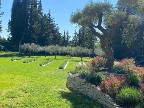 Villa | Garden
