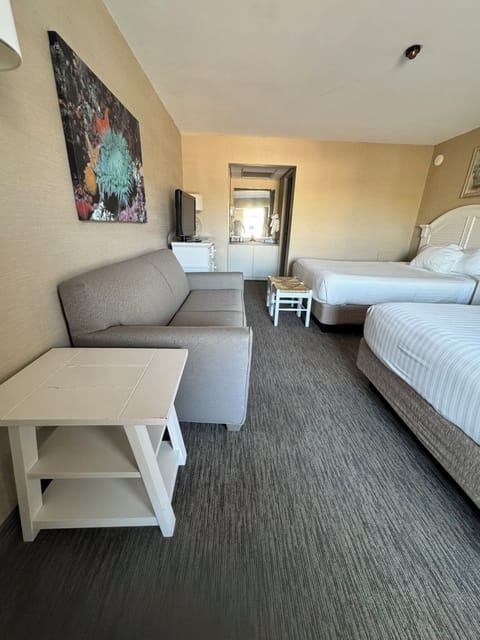 Desk, free cribs/infant beds, free WiFi, bed sheets