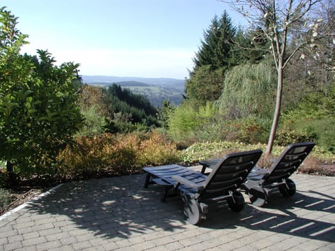 House | View from property