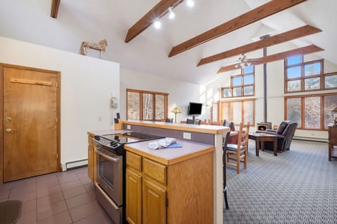 Riverview, One Bedroom Suite (1 Queen Bed with Sofa Bed) | Private kitchen | Microwave, dishwasher, coffee/tea maker, cookware/dishes/utensils