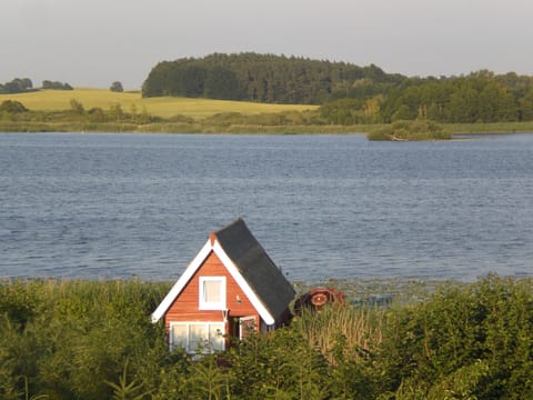 House | View from property