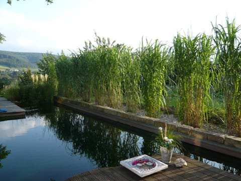 Apartment | Garden