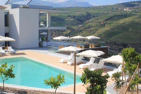 Seasonal outdoor pool, pool umbrellas, sun loungers