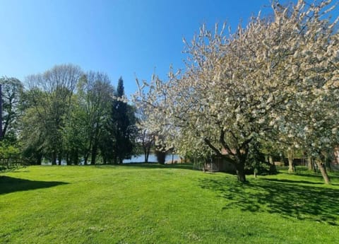 Apartment | View from property