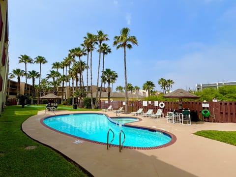 Amazing Swimming Pool Area