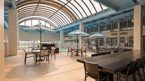 Indoor pool, sun loungers