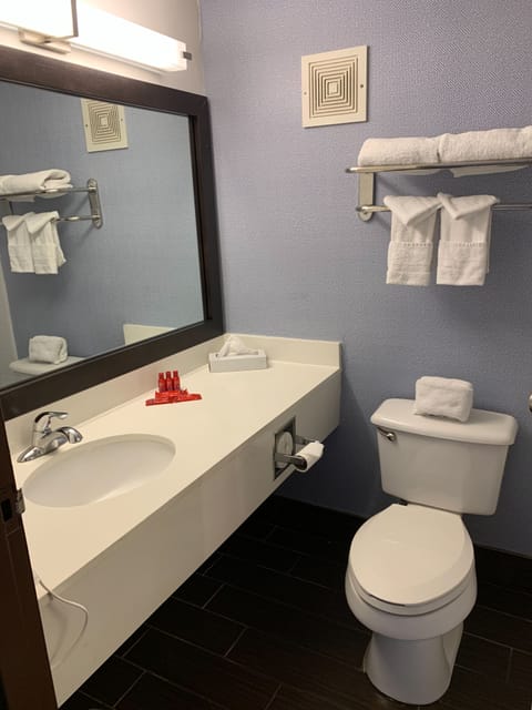 Combined shower/tub, free toiletries, hair dryer, towels