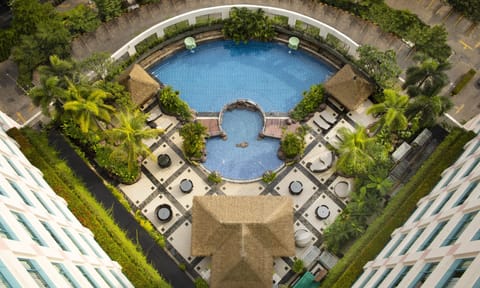 Outdoor pool, sun loungers