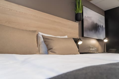 Standard Double Room | Blackout drapes, soundproofing, iron/ironing board, free WiFi