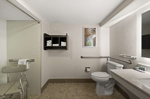 Standard Room, 1 King Bed, Accessible, Non Smoking | Bathroom | Free toiletries, hair dryer, towels, soap