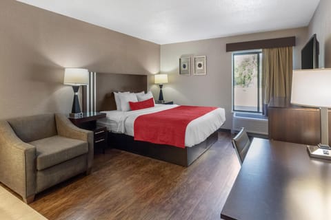 Standard Room, 1 King Bed, Non Smoking, Jetted Tub | Desk, laptop workspace, blackout drapes, iron/ironing board