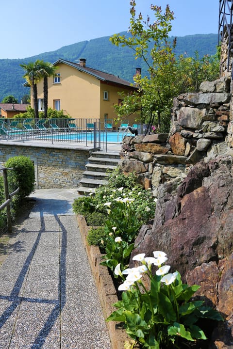 Outdoor pool, open 9:00 AM to 8:00 PM, pool umbrellas, sun loungers