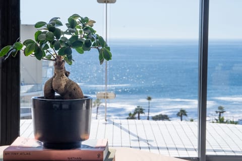 Signature Family Ocean Suite | View from room