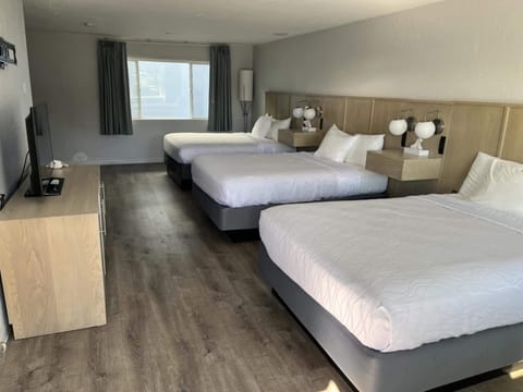 Standard Room | Iron/ironing board, free WiFi, bed sheets, alarm clocks