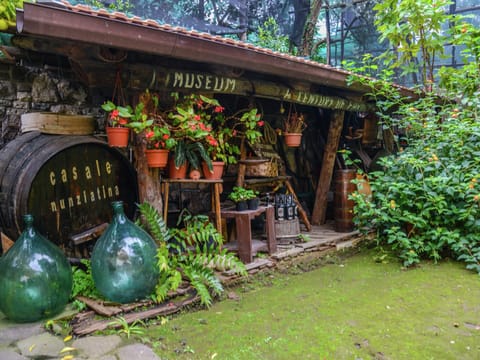 House | Garden