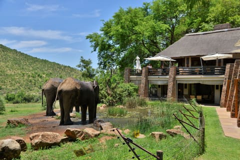 Game viewing