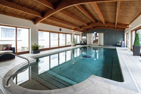 Indoor pool, sun loungers