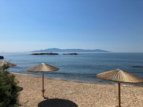 Sun loungers, beach umbrellas, beach towels, fishing