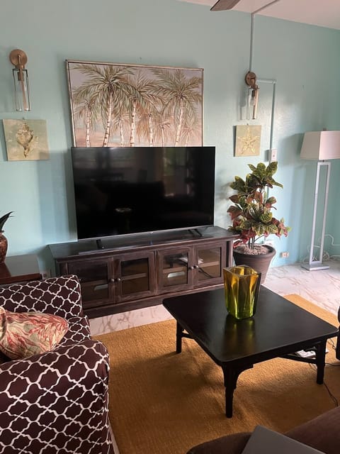 Large living area with smart TV