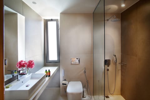 Hair dryer, towels, soap, shampoo