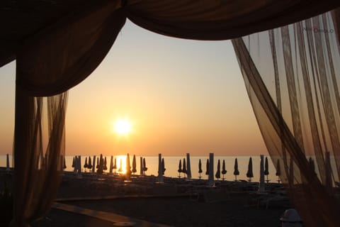 Private beach, free beach shuttle, sun loungers, beach umbrellas