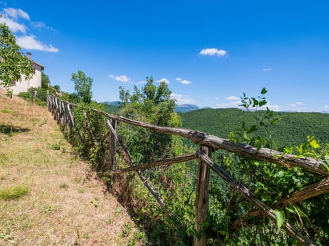 House | View from property