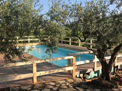 House | Pool | Outdoor pool