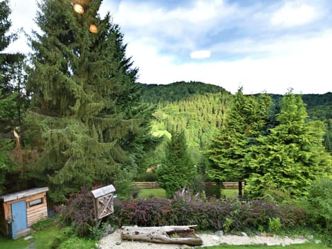 House | View from property