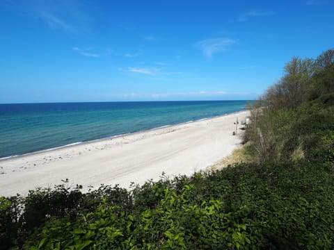 House | View from property