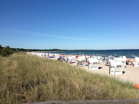 House | Interior detail