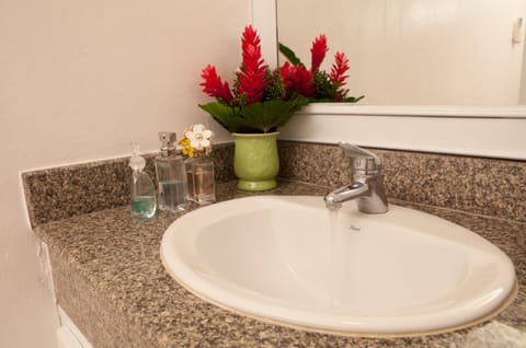 Grand Deluxe Family Room | Bathroom sink