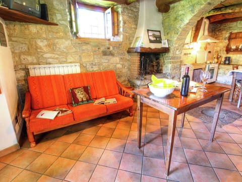 House | Living area | Fireplace