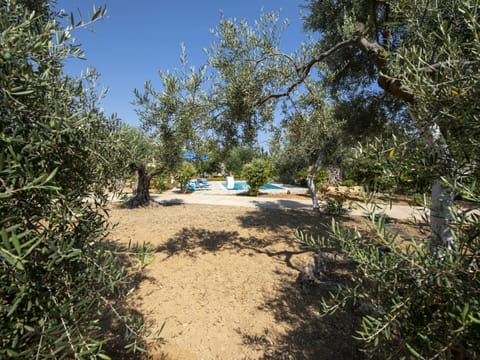 House | Garden