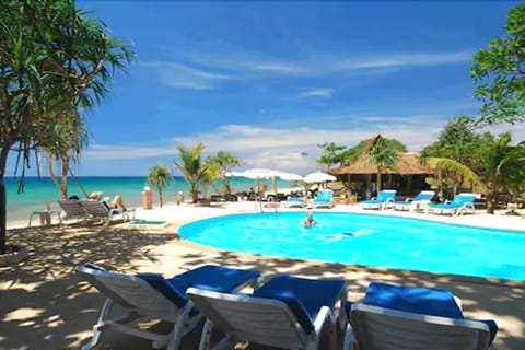 Outdoor pool, sun loungers