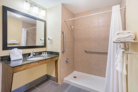 Standard Room, 1 King Bed, Accessible, Non Smoking | Bathroom | Hair dryer, towels