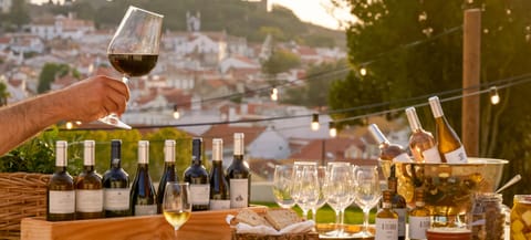 Vineyard