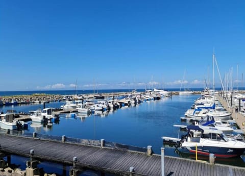 House | View from property