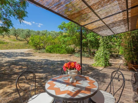 Plant, Table, Furniture, Property, Flowerpot, Chair, Shade, Sky, Interior Design, Architecture