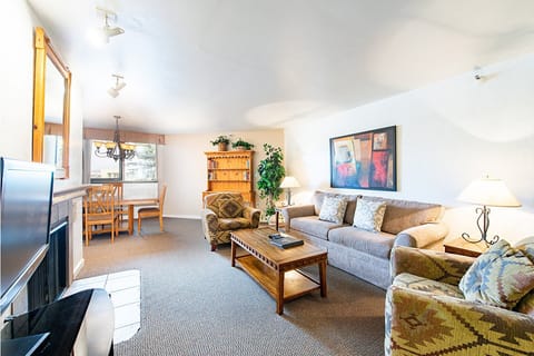 Living Room with Sleeper Sofa