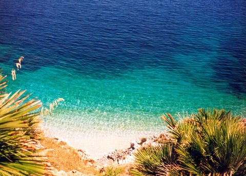 Private beach nearby, free beach shuttle