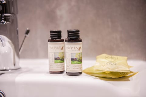 Shower, free toiletries, hair dryer, towels