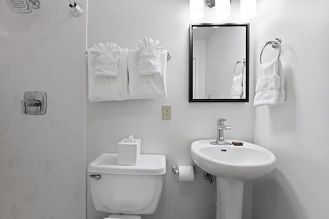 Premium Room, 1 Queen Bed | Bathroom | Shower, free toiletries, hair dryer, towels