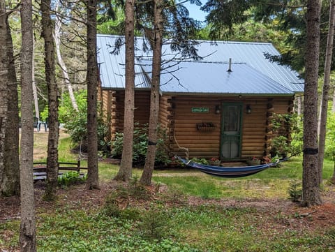   You have arrived at the cabin 🙌 🎉