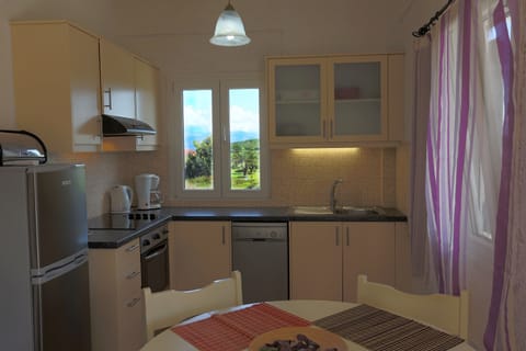 Apartment, 2 Bedrooms, Sea View | Private kitchen | Full-size fridge, stovetop, dishwasher, coffee/tea maker
