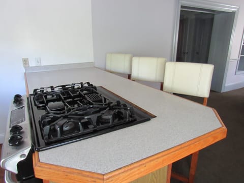 The GE Profile Gas Range/oven for Your Enjoyment