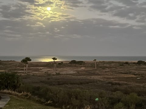 Bright moon reflecting off the bay is a breathtaking view. to see!