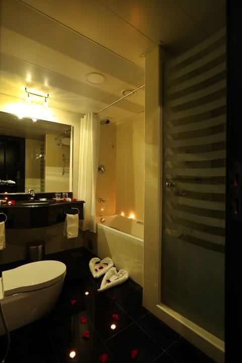 Combined shower/tub, free toiletries, towels