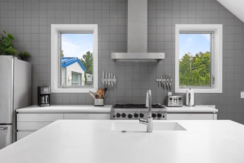 Professional range and hood, double dishwashers, large fridge, many small appliances