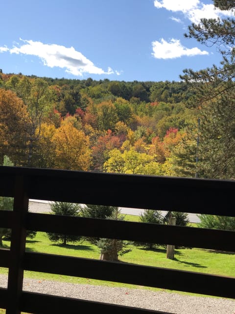 View from front covered porch