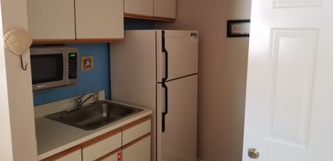Second Kitchen in Master Suite
